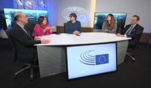 lucia vuolo europarlamento PETI