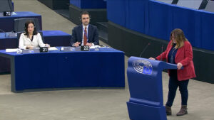 lucia vuolo europarlmaneto